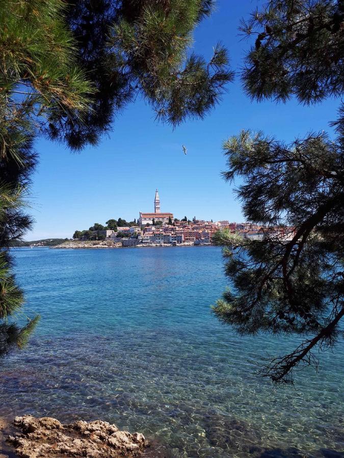 In Rovinj/istrien 11504 Appartement Rovinj